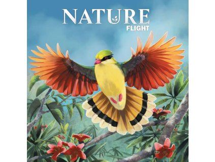 Nature: Flight