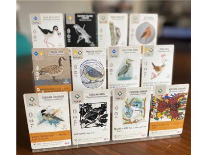 Wingspan Fan Art Cards