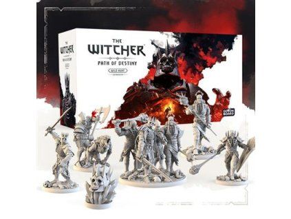 The Witcher: Paths of Destiny - Wild Hunt