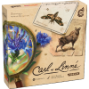 Carl Linne krabice 3D 01